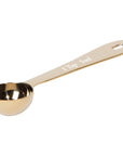 Gold Measuring Spoons (Set of 4)