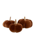 Brown Velvet Pumpkins