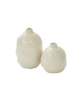 Lori Budvase
