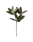Magnolia Leaf Spray - 34.5"