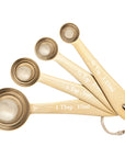 Gold Measuring Spoons (Set of 4)