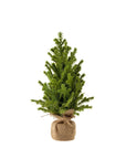 Faux Cedar Tabletop Tree